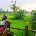 lifestyle redesign  - img 0273 120x120 - Bali Travel: Where to Eat and Drink in Ubud