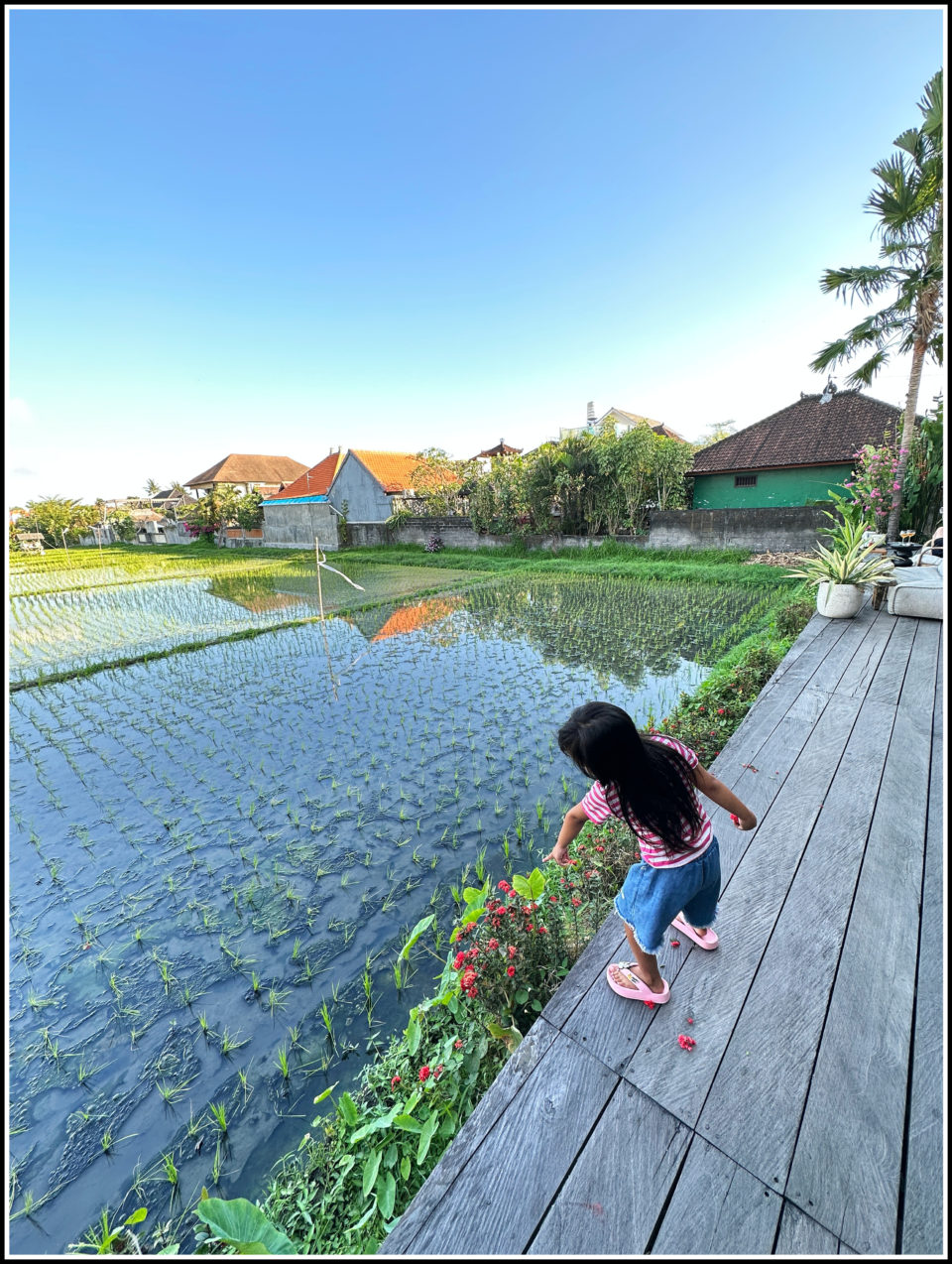 bali journey